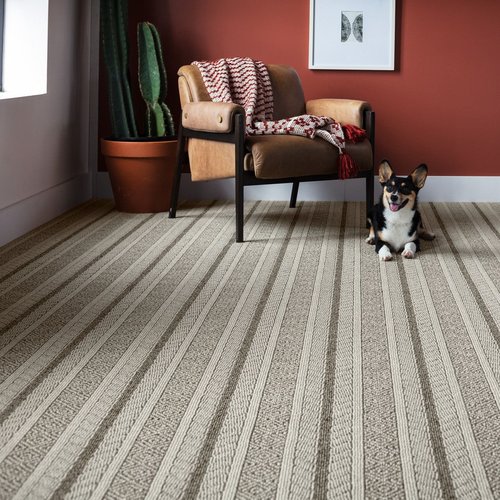 Anderson Tuftex Carpets Of California from Gerami's Floors in Lafayette