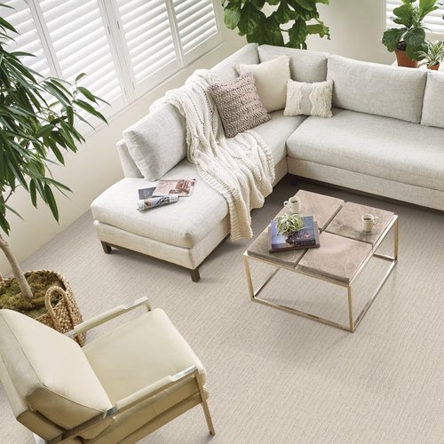 Caress Carpets From Shaw from Gerami's Floors in Lafayette